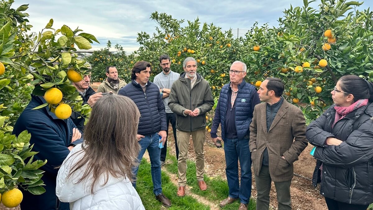 AGRISME II acerca la digitalización a las pymes agrícolas con soluciones tecnológicas accesibles.jpg